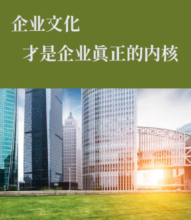 深圳市鸿瑞时代电子科技SEW电机与刹车系统的技术协同优势